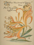 When Lilies, Turned to Tigers, Blaze/Amid Garden's Tangled Maze, Written and Drawn by Walter Crane Photographic Print