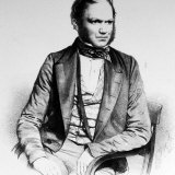 British Naturalist Advanced Theory of Evolution Charles Darwin Portrayed in Lithograph by Maguire Premium Photographic Print