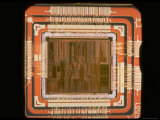 Close Up of the Internal Structure of an Intel Pentium Processor with MMX Technology Premium Photographic Print by Ted Thai