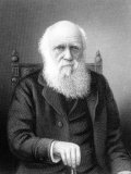 Engraving of British Naturalist Charles Darwin Developed Theory of Evolution by Natural Selection Reproduction photographique sur papier de qualité