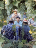 Labor Activist Cesar Chavez Talking in Field with Grape Pickers of United Farm Workers Union Premium Photographic Print by Arthur Schatz