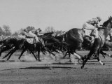 Needles in Kentucky Derby, Winner of the 82nd Running of the Most Famous of US Horse Races Photographic Print by Hank Walker