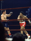 Boxers Cassius Clay and Oscar Bonavena Fighting at Madison Square Garden Premium Photographic Print by Bill Ray