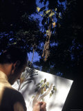 Walt Disney Cartoonist Lee Blair Drawing Sketches for South American Themed Cartoon Premium Photographic Print by Hart Preston