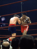Boxers Cassius Clay and Oscar Bonavena Fighting at Madison Square Garden Premium Photographic Print by Bill Ray