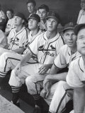 Stan Musial St. Louis Cardinals Most Outstanding Player Following Foul Ball from Bench Lámina fotográfica de primera calidad por Joe Scherschel Stan Musial St. Louis Cardinals Most Outstanding Player Following Foul Ball from Bench Lámina fotográfica de primera calidad por Joe Scherschel