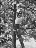 Eartha Kitt Playing in the Tree Premium Photographic Print by Gordon Parks