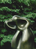 Human Lunar Spectral Fototryk i høj kvalitet af Jean Arp