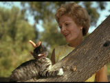 Pat Nixon, Wife of President Candidate Richard Nixon, at Home with Her Cat Premium Photographic Print by Arthur Schatz