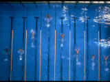 US Athlete Mark Spitz Leads in the 200 Meter Butterfly at the Summer Olympics Premium Photographic Print by Co Rentmeester