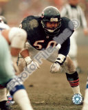 Mike Singletary Foto