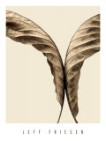 Turning Leaves II Prints by Jeff Friesen