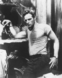 Marlon Brando - A Streetcar Named Desire Photo