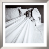 Marilyn in Bed Print by Milton H. Greene