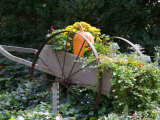 Decorative Wagon and Pumpkin, Ste. Genevieve, Missouri, USA Photographie par Walter Bibikow
