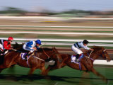 Horse Racing in Action, Melbourne, Australia Lámina fotográfica por Michael Coyne