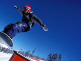 Board Slide I Photographic Print by Paul Whitfield