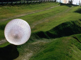 Zorbs People Moving Inside Balls on Lawn, Rotorua, New Zealand Photographic Print by John Banagan