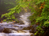 Flowing Streams Along the Appalachian Trail, East Arlington, Vermont, USA Photographie par Joe Restuccia III