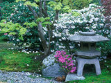 Japanese Garden, Seattle Arboretum, Seattle, Washington, USA Lámina fotográfica por Rob Tilley