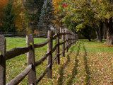 Fenceline, East Arlington, Vermont, USA Photographic Print by Joe Restuccia III