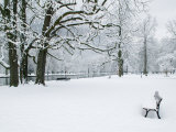 Chateau de Vizille Park after Winter Storm, Vizille, Isere, French Alps, France Photographic Print by Walter Bibikow