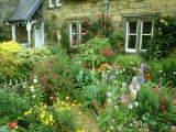 Cottage Garden With, Colourful Flower Beds Direlton, Scotland, UK Photographic Print by Mark Hamblin