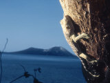 Tokay Gecko, Krakatoa, Indonesia Fotografisk tryk af Mary Plage