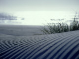 Sand Dune, New Zealand Photographie par Tobias Bernhard