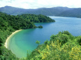 Queen Charlotte Sound, S. Island, New Zealand Fotografisk trykk av Robin Bush Queen Charlotte Sound, S. Island, New Zealand Fotografisk trykk av Robin Bush