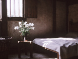 Lilies in Jug Bedroom Fotografie-Druck von Jacqui Hurst