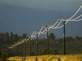 Power Lines by Road Side Reflecting Evening Light, New Zealand Photographic Print by Tobias Bernhard