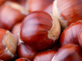 Castanea Sativa (Sweet Chestnut), Close-up of Nuts Lámina fotográfica por Susie Mccaffrey Castanea Sativa (Sweet Chestnut), Close-up of Nuts Lámina fotográfica por Susie Mccaffrey