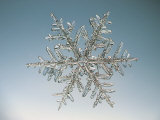 Snowflake, Close Up Photographic Print by Edward Kinsman