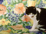Black and White Cat Sitting on a Floral Chair Lámina fotográfica por Lynne Brotchie