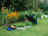 Trays of Petunia and Nicotiana Next to a Wheel Barrow Full of Weeds Gloves and a Kneeler Iris Lámina fotográfica por Zara Mccalmont (napier) Trays of Petunia and Nicotiana Next to a Wheel Barrow Full of Weeds Gloves and a Kneeler Iris Lámina fotográfica por Zara Mccalmont (napier)