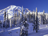 Mount Rainier after a Winter Storm, Mt. Rainier National Park, Washington, USA Photographic Print by Jamie & Judy Wild