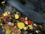 Stream in Fall, Maine, USA Photographic Print by Jerry & Marcy Monkman