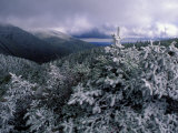 Snow Coats the Boreal Forest on Mt. Lafayette, White Mountains, New Hampshire, USA Photographic Print by Jerry & Marcy Monkman