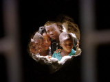 Young Nigerians Peer Through a Hole Fotografisk tryk Young Nigerians Peer Through a Hole Fotografisk tryk
