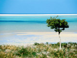 Waters of Lagoon of Detwah, Yemen Photographic Print by Frances Linzee Gordon