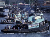 Tugboats Parade of the Seattle Maritime Festival, Elliott Bay, Washington, USA Lámina fotográfica por William Sutton Tugboats Parade of the Seattle Maritime Festival, Elliott Bay, Washington, USA Lámina fotográfica por William Sutton