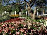 Garden at Prescott Park, New Hampshire, USA Photographic Print by Jerry & Marcy Monkman