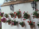 Geraniums along White Wall of Palacio de Mondragon, Ronda, Spain Photographic Print by John & Lisa Merrill