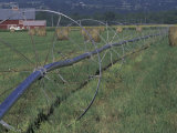 Irrigation Equipment in Hay Field with Bales and Red Barn, Bitteroot Valley, Montana, USA Photographie par John & Lisa Merrill
