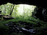 Entrance to Russell Cave National Monument, Alabama, USA Fotografie-Druck von William Sutton