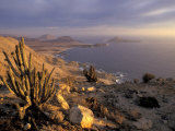 Desert Coast and Pacific Ocean, Atacama Desert, Pan de Azucar National Park,Chile Photographie par Andres Morya