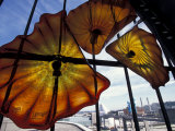 Glass Exhibit at Union Station, Tacoma, Washington, USA Photographic Print by John & Lisa Merrill