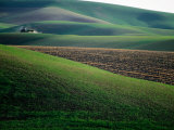 Rolling Hills and Ploughed Field in Spring, Palouse, U.S.A. Photographic Print by Ann Cecil
