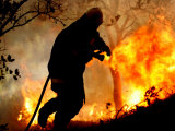 A Fire Fighter Retreats from a Forest Fire Near Fraldeu, Central Portugal Photographic Print